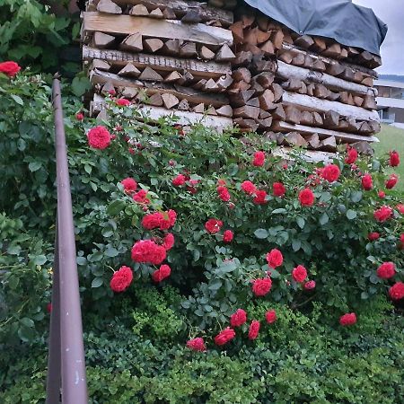 DreamlandRanch Vorarlberg Lägenhet Schlins Exteriör bild