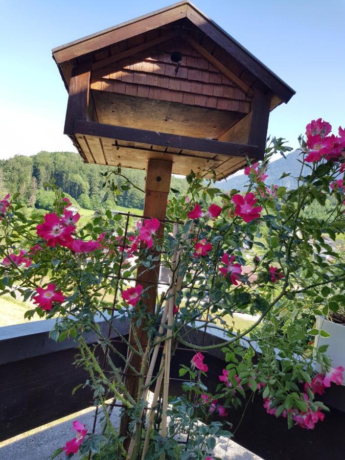 DreamlandRanch Vorarlberg Lägenhet Schlins Exteriör bild
